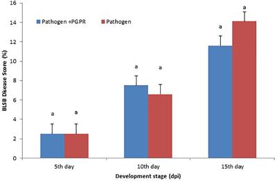 Alleviation of banded leaf and sheath blight disease incidence in maize by bacterial volatile organic compounds and molecular docking of targeted inhibitors in Rhizoctonia solani